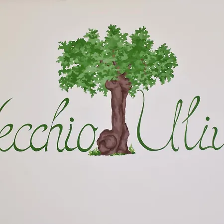 Terra Di Ulivo *