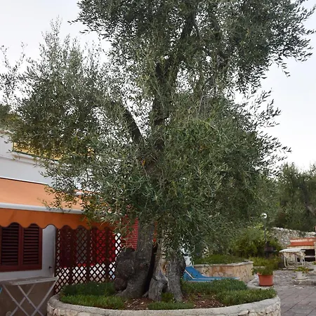 Terra Di Ulivo Βιέστε
