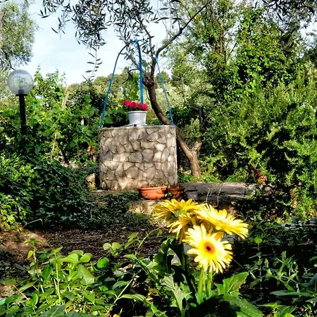 Terra Di Ulivo