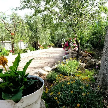 Terra Di Ulivo *